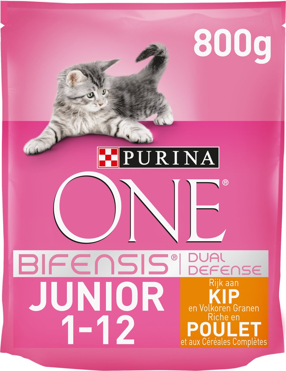 bidden blozen Mening Purina One Junior Kat Kip En Volkoren Granen 800 Gram | Ranzijn Tuin & Dier