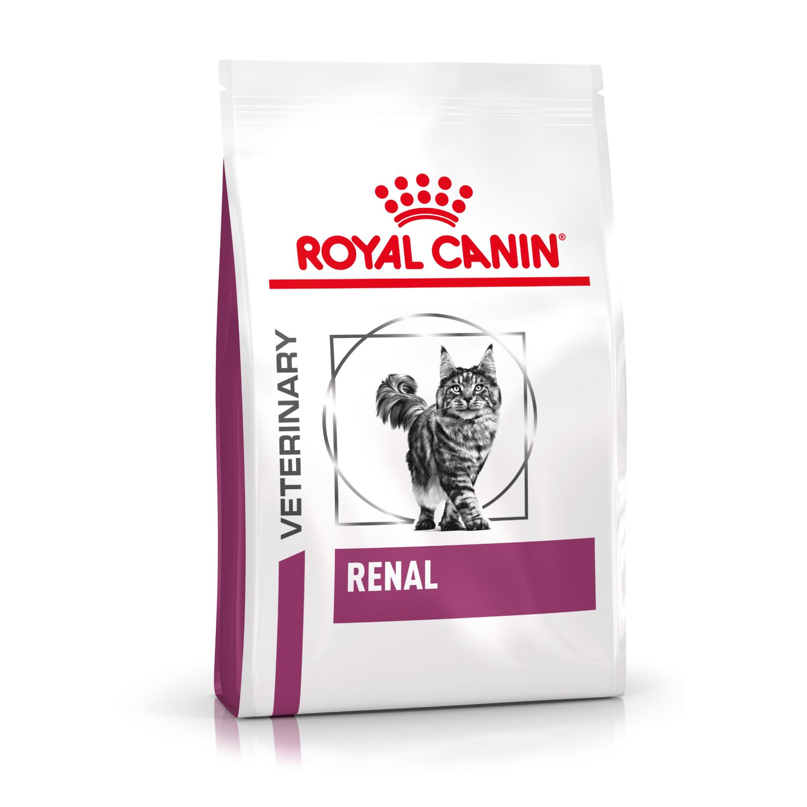 kasteel Afstudeeralbum alledaags Royal Canin Feline Renal | Ranzijn Tuin & Dier